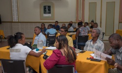 Participants