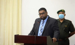His Excellency Dr. Mohamed Irfaan Ali