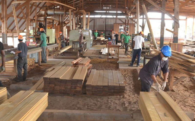 Forestry Sector made a turnaround in 2021